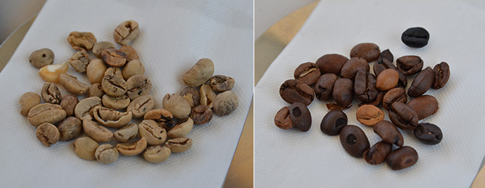 豆の厳選もこだわり。輸入した段階で割れている豆やローストの際に欠けた豆は除きます。