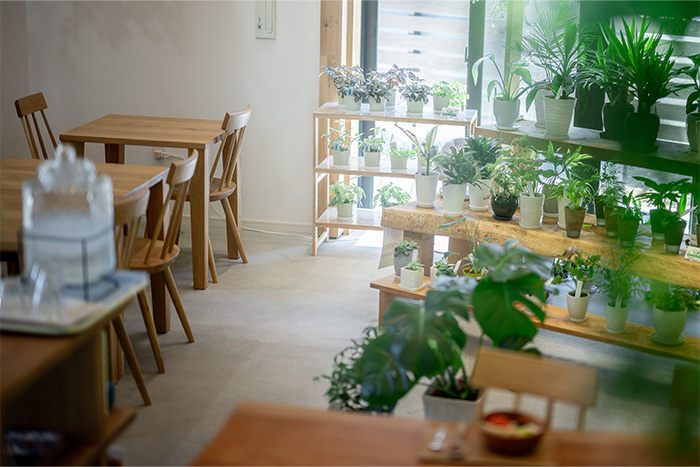 ヨーグルト専門店「CowCowヨーグルト」