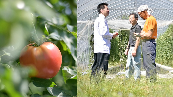 飛騨ヘルシートマトは特に味が良いと言われる「桃太郎ファイト」と言う品種を、さらに超える美味しさを目指してじっくりと育てられています。