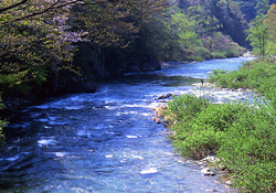 馬瀬川