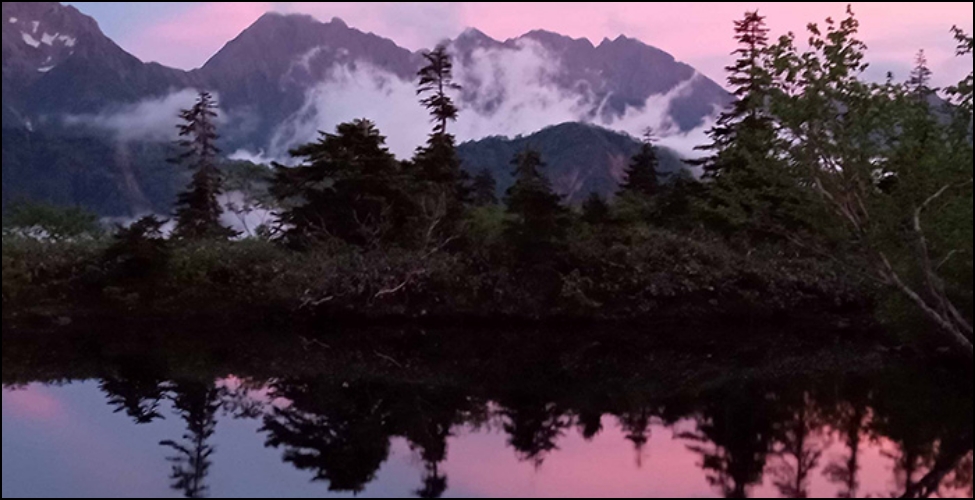 自然の中にある感動を探して