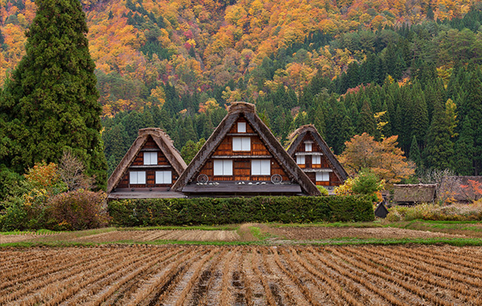 上：「三つ子の合掌づくり」雨が降っているとしっとりとした晩秋のイメージが表現できます。雨天や曇りの時は画面内に空が入らないように撮ることがポイントです。