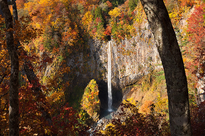 上：「白水の滝（落差72m）」水音を響かせ、紅葉した原生林に囲まれ絶壁から流れ落ちる勇壮な滝です。