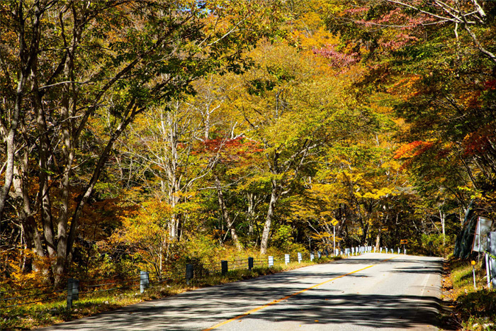 飛騨の紅葉　スタッフおすすめ　飛騨せせらぎ街道