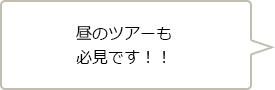 昼のツアーも必見です！！