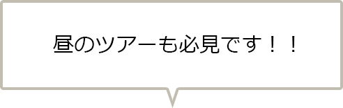 昼のツアーも必見です！！