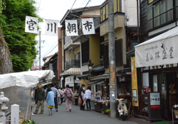 Miyagawa River Morning Market