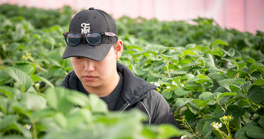 TOUGE FARM代表の峠さん