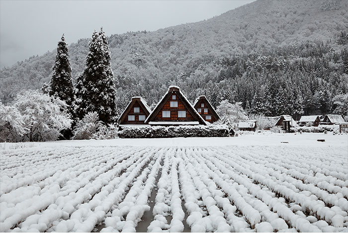 合掌集落をすっぽり包む白い雪の世界