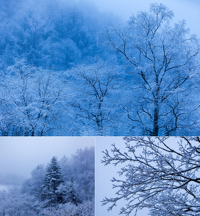 平湯トンネル付近の幻想的な雪景色