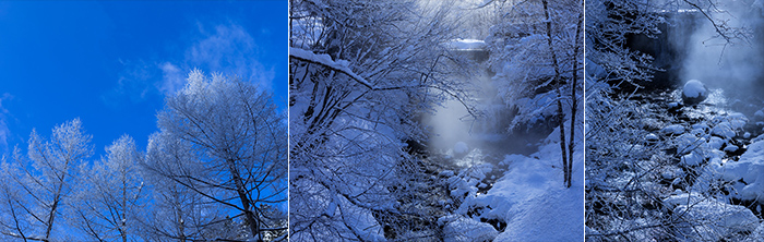 降り積もった雪がきらきらと輝く美しい景色