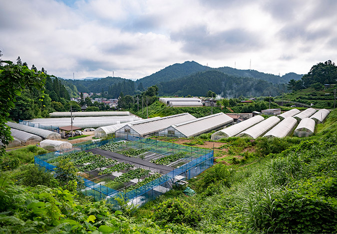 山藏農園