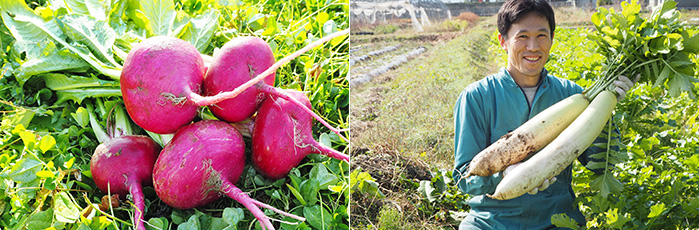 左：飛騨の伝統野菜赤かぶら。皮の赤い色が漬けこむと全体が鮮やかな赤になります。右：家業の農家を継ぎ「よしま農園」として立ち上げた代表、与嶋靖智さん。
