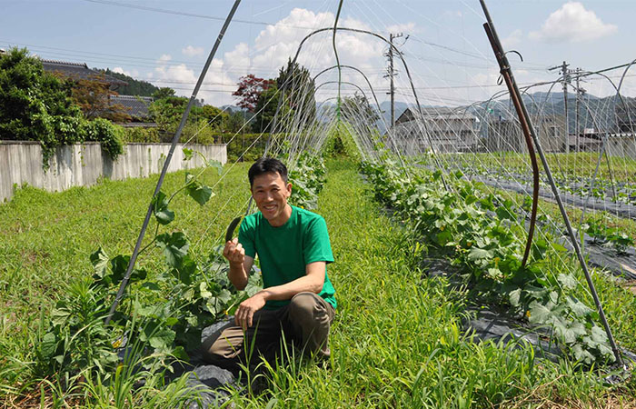 雑草も抜かない自然栽培の農園。飛騨の自然がここにぎゅっと濃縮しているようです。