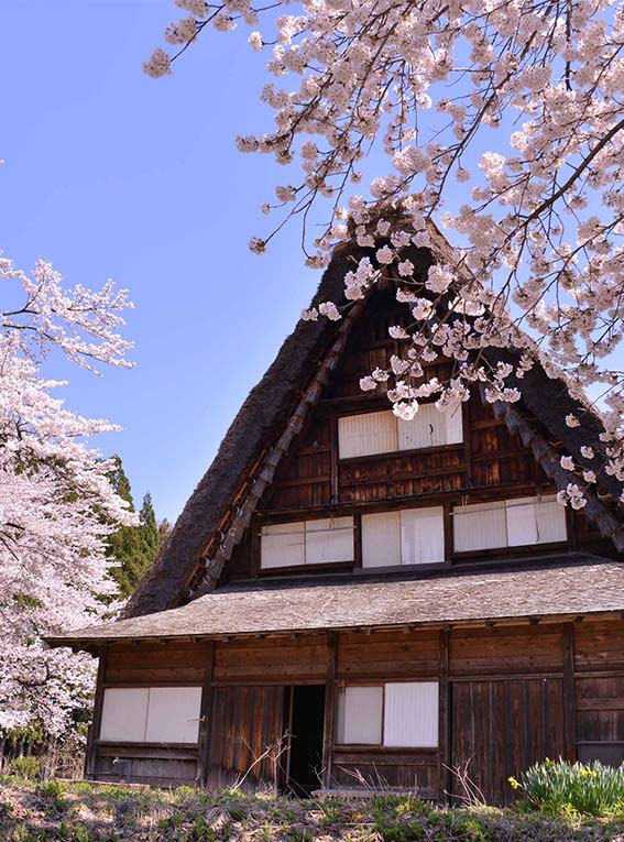 白川郷合掌造りベストショットポイント
