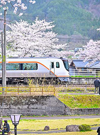 飛騨高山・春のおすすめ観光スポット5選