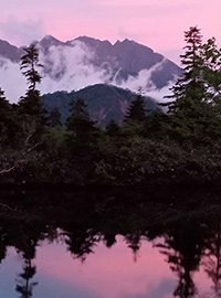 自然の中にある感動を探して