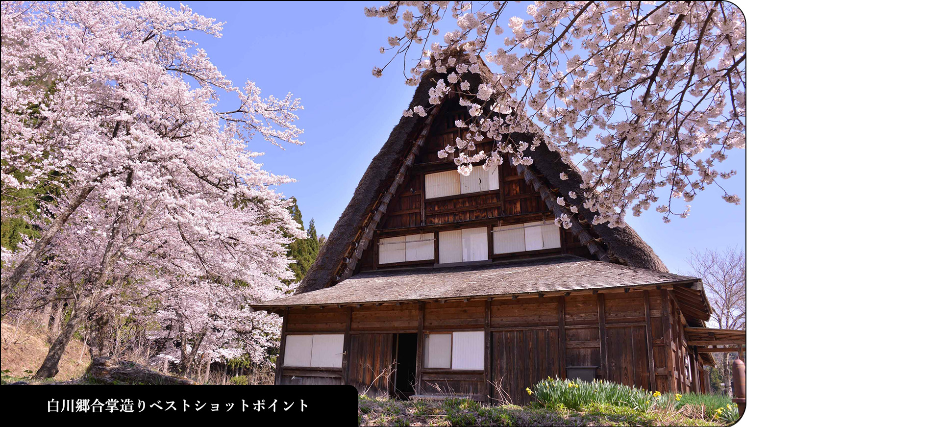 白川郷合掌造りベストショットポイント