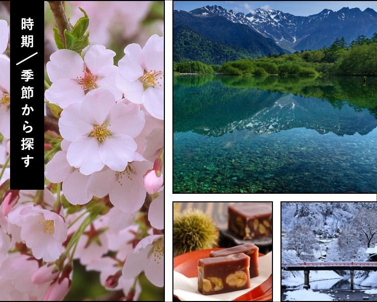 時期季節から探す