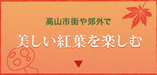 高山市街や郊外で美しい紅葉を楽しむ