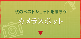 秋のベストショットを撮ろうカメラスポット