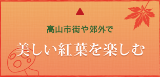 高山市街や郊外で美しい紅葉を楽しむ