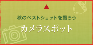 秋のベストショットを撮ろうカメラスポット