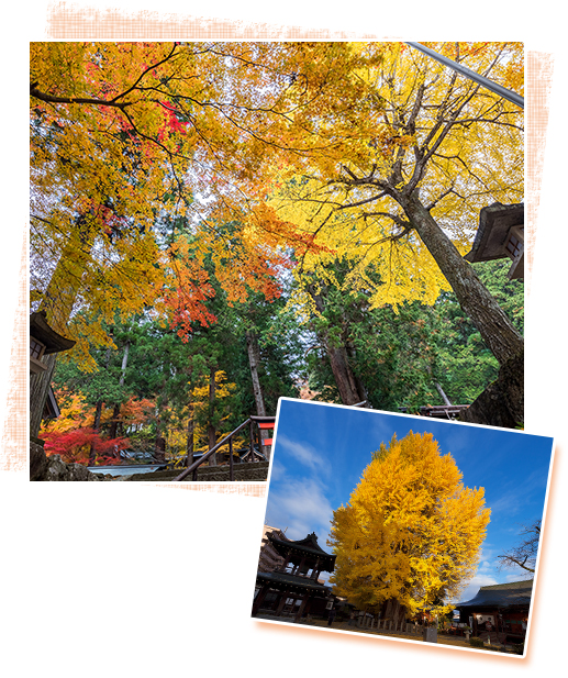 高山市街の紅葉を楽しむ