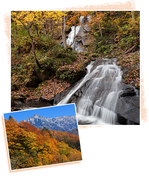 高山郊外の紅葉を楽しむ