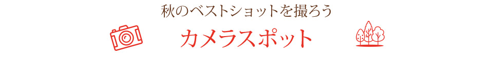 秋のベストショットを撮ろう　カメラスポット