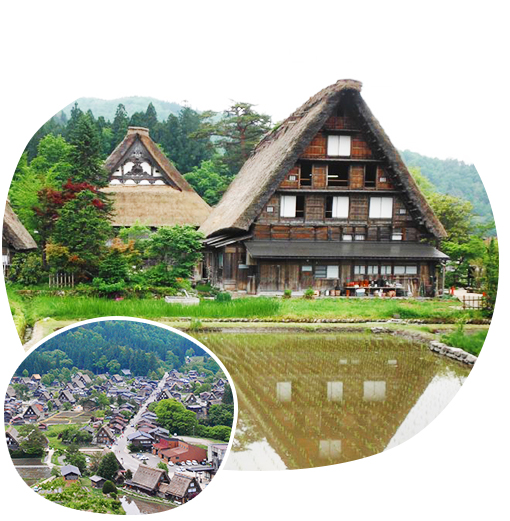 Shirakawago Gassho Zukuri Myozenji Temple Side Street