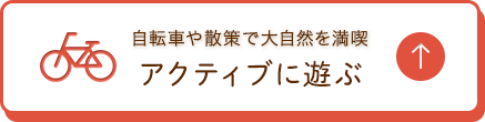 自転車や散策で大自然を満喫 アクティブに遊ぶ