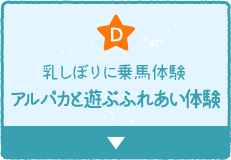 D 乳しぼりに乗馬体験アルパカと遊ぶふれあい体験