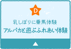 D 乳しぼりに乗馬体験アルパカと遊ぶふれあい体験