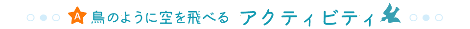 鳥のように空を飛べる アクティビティ
