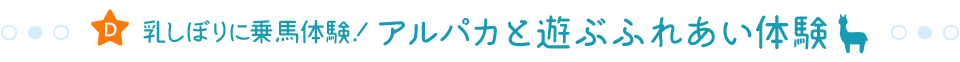 乳しぼりに乗馬体験！ アルパカと遊ぶふれあい体験