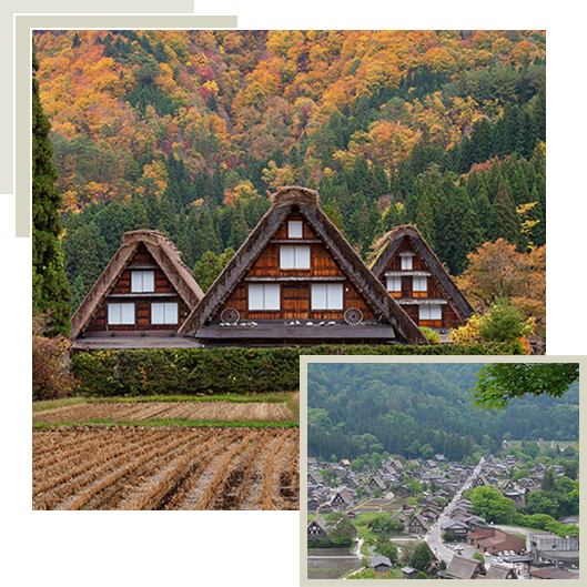 白川郷合掌造り