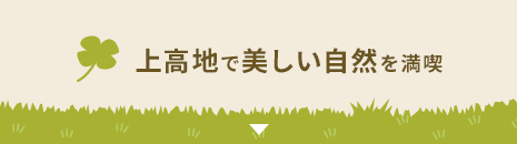 上高地で美しい自然を満喫