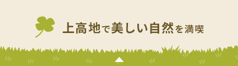 上高地で美しい自然を満喫