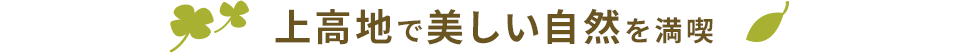 上高地で美しい自然を満喫