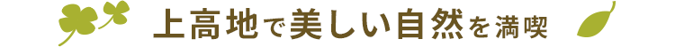 上高地で美しい自然を満喫