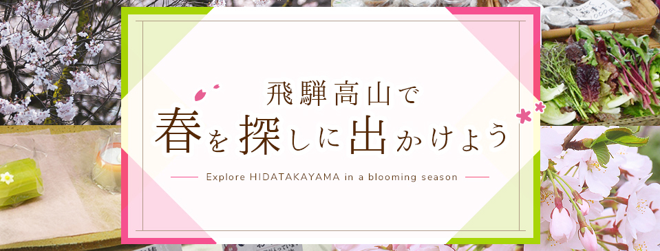 飛騨高山で春を探しに出かけよう