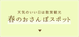 天気のいい日は散策観光春のおさんぽスポット