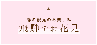 春の観光のお楽しみ飛騨でお花見