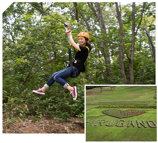 ZIPLINE