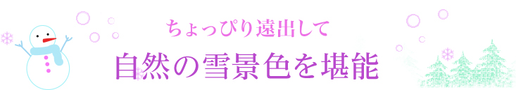 ちょっぴり遠出して自然の雪景色を堪能